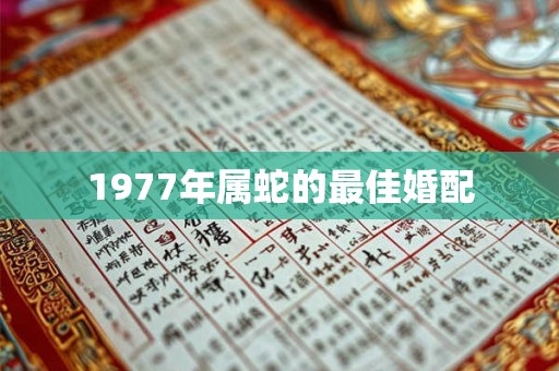 1977年属蛇的最佳婚配