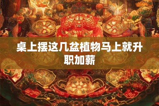 桌上摆这几盆植物马上就升职加薪