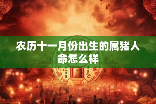 农历十一月份出生的属猪人命怎么样 农历十一月份出生的属猪人命怎么样