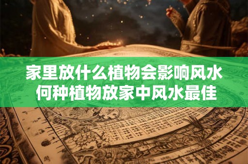 家里放什么植物会影响风水 何种植物放家中风水最佳 家里放什么植物会影响风水 何种植物放家中风水最佳