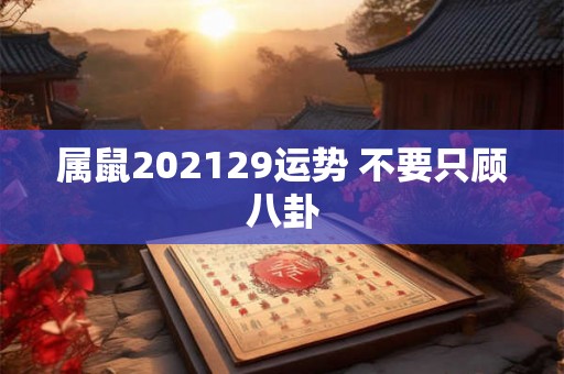 属鼠202129运势 不要只顾八卦