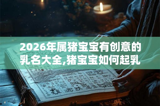 2026年属猪宝宝有创意的乳名大全,猪宝宝如何起乳名？