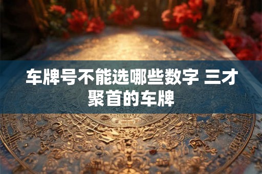 车牌号不能选哪些数字 三才聚首的车牌 车牌号不能选哪些数字 三才聚首的车牌
