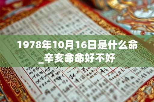 1978年10月16日是什么命_辛亥命命好不好