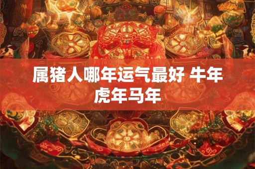 属猪人哪年运气最好 牛年虎年马年