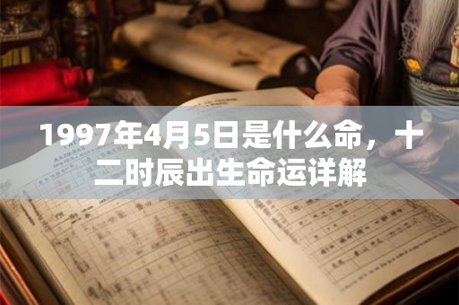 1997年4月5日是什么命，十二时辰出生命运详解