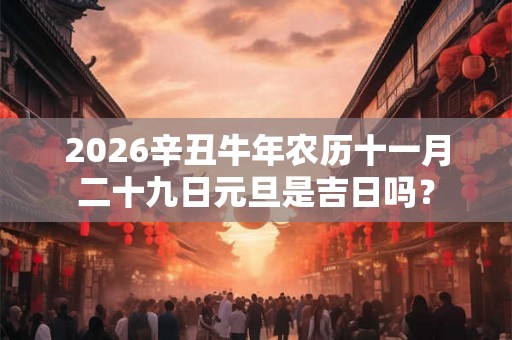 2026辛丑牛年农历十一月二十九日元旦是吉日吗？