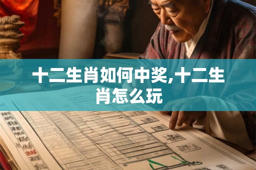 十二生肖如何中奖,十二生肖怎么玩