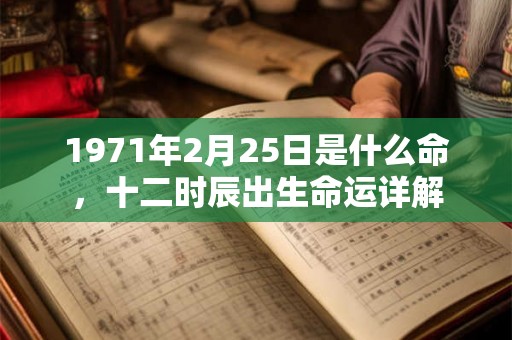 1971年2月25日是什么命，十二时辰出生命运详解