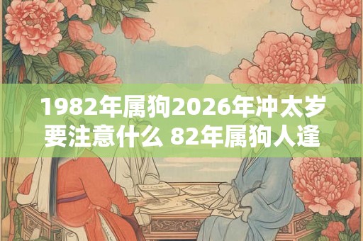 1982年属狗2026年冲太岁要注意什么 82年属狗人逢马年运气如何