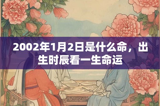 2002年1月2日是什么命，出生时辰看一生命运