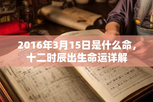 2016年3月15日是什么命，十二时辰出生命运详解