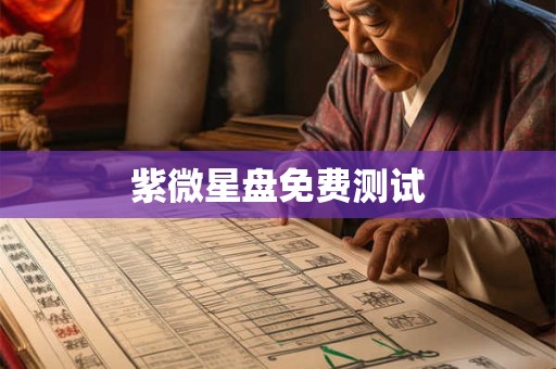 紫微星盘免费测试