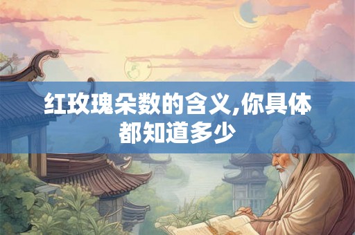 红玫瑰朵数的含义,你具体都知道多少