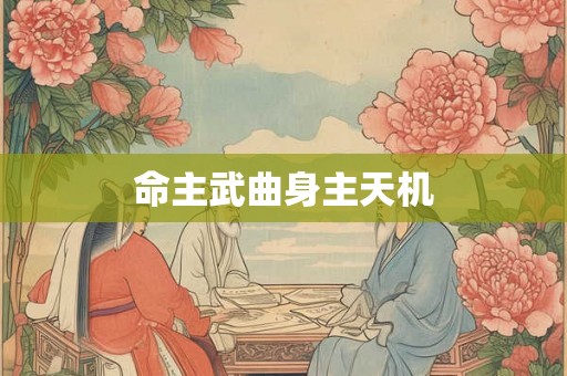 命主武曲身主天机