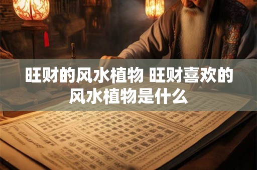 旺财的风水植物 旺财喜欢的风水植物是什么