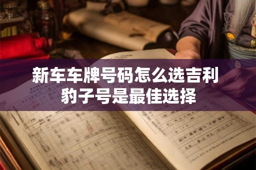 新车车牌号码怎么选吉利 豹子号是最佳选择
