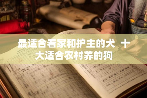 最适合看家和护主的犬  十大适合农村养的狗
