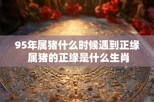 95年属猪什么时候遇到正缘 属猪的正缘是什么生肖
