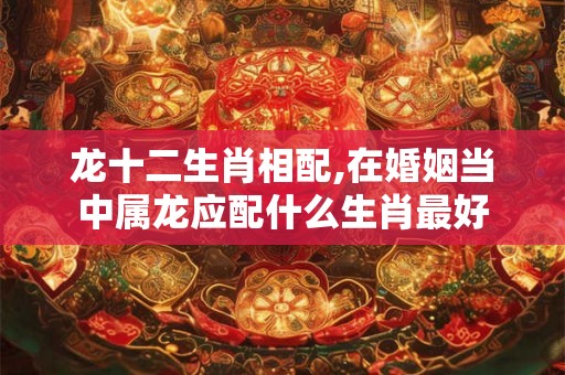 龙十二生肖相配,在婚姻当中属龙应配什么生肖最好