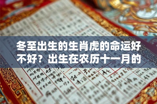 冬至出生的生肖虎的命运好不好？出生在农历十一月的命运好吗？
