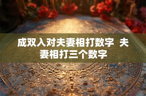 成双入对夫妻相打数字  夫妻相打三个数字