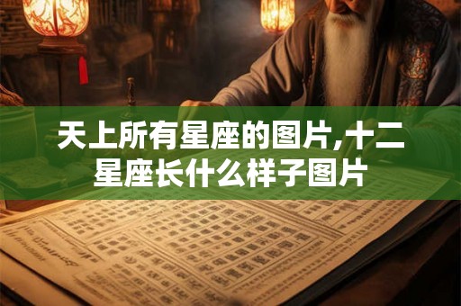 天上所有星座的图片,十二星座长什么样子图片