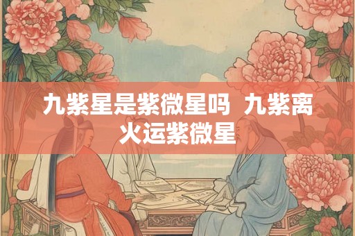 九紫星是紫微星吗 九紫离火运紫微星 九紫星是紫微星吗 九紫离火运紫微星