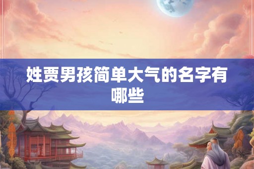 姓贾男孩简单大气的名字有哪些