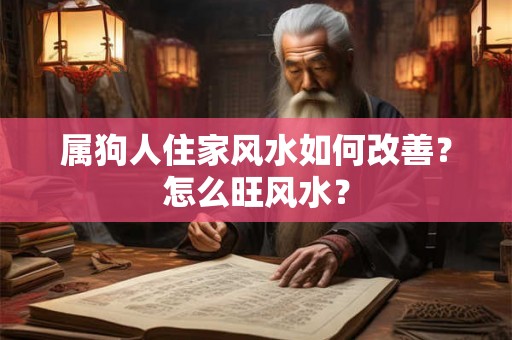 属狗人住家风水如何改善？怎么旺风水？