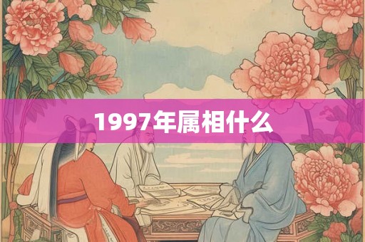 1997年属相什么 1997年属相什么
