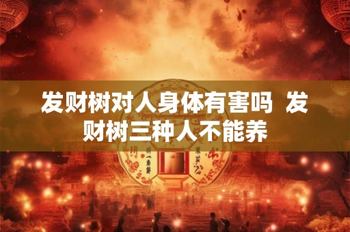 发财树对人身体有害吗  发财树三种人不能养