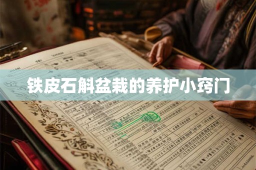 铁皮石斛盆栽的养护小窍门