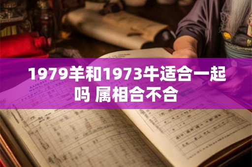 1979羊和1973牛适合一起吗 属相合不合