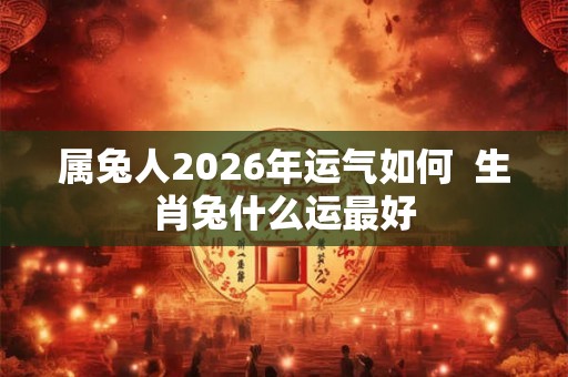 属兔人2026年运气如何  生肖兔什么运最好