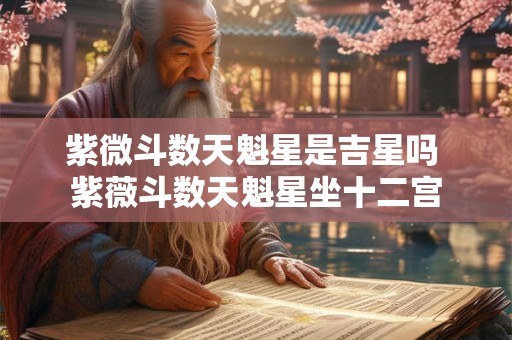 紫微斗数天魁星是吉星吗 紫薇斗数天魁星坐十二宫