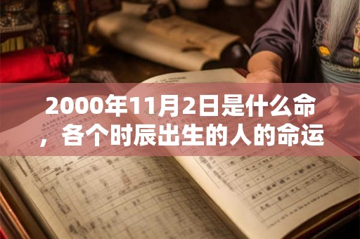 2000年11月2日是什么命，各个时辰出生的人的命运