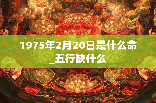 1975年2月20日是什么命_五行缺什么