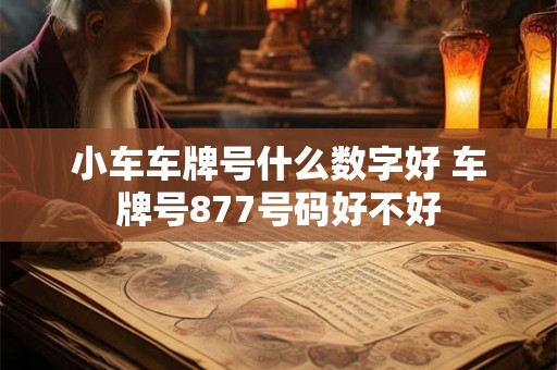 小车车牌号什么数字好 车牌号877号码好不好