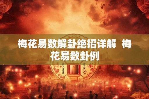 梅花易数解卦绝招详解  梅花易数卦例
