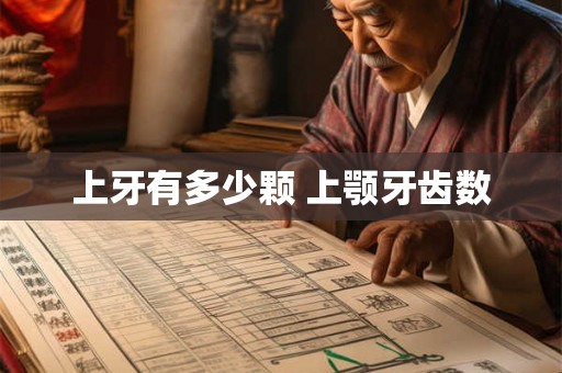 上牙有多少颗 上颚牙齿数 上牙有多少颗 上颚牙齿数