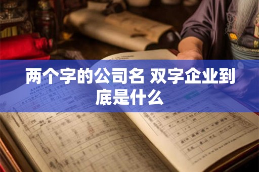 两个字的公司名 双字企业到底是什么