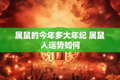 属鼠的今年多大年纪 属鼠人运势如何