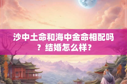 沙中土命和海中金命相配吗？结婚怎么样？