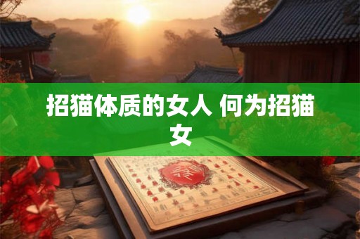 招猫体质的女人 何为招猫女 招猫体质的女人 何为招猫女