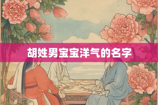 胡姓男宝宝洋气的名字 胡姓男宝宝洋气的名字