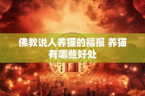 佛教说人养猫的福报 养猫有哪些好处 佛教说人养猫的福报 养猫有哪些好处