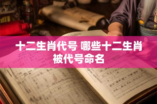 十二生肖代号 哪些十二生肖被代号命名