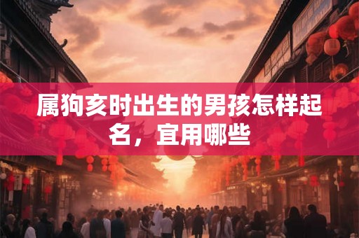 属狗亥时出生的男孩怎样起名，宜用哪些