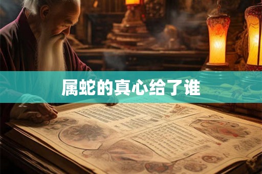 属蛇的真心给了谁